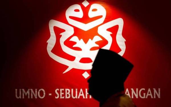 Mungkin risau Zahid tumbang, 176 Pemuda UMNO gesa pemilihan parti ditangguh
