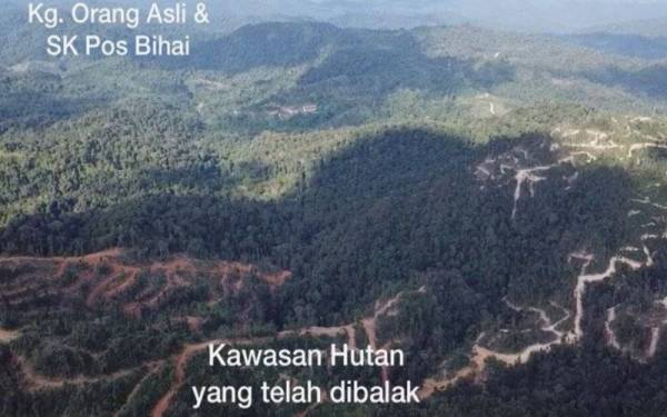 Bongkar! Drone dedahkan kerajaan Kelantan membalak di habitat harimau