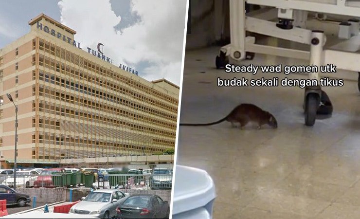 Di hospital pun banyak tikus! Tingkatkanlah kebersihan!