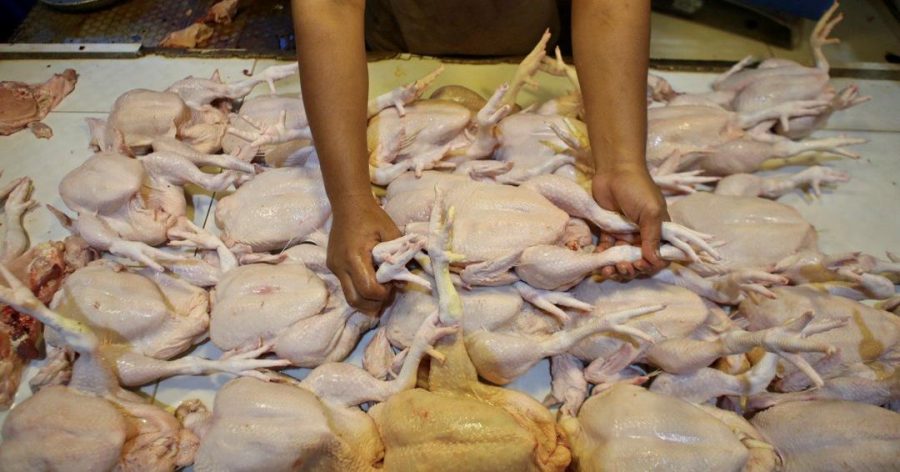 Persatuan Penternak Malaysia kata harga ayam akan naik lebih RM10 sekilo