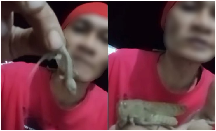 [Video] Lelaki ini gemar makan serangga, cicak pun dia telan sebab katanya sedap