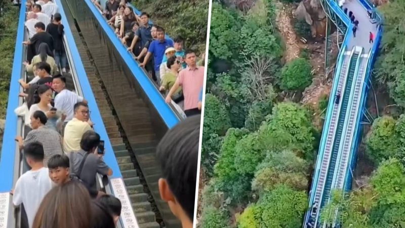 China bina eskalator untuk mudahkan pengunjung panjat gunung tanpa perlu penat mendaki